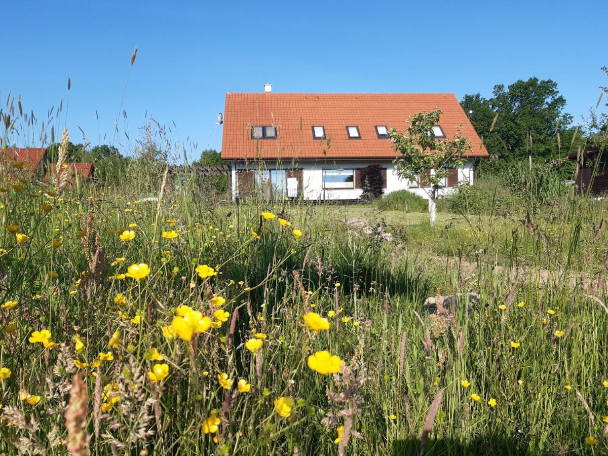 Siedlisko Gregorowo Apartamento Ustka Exterior foto
