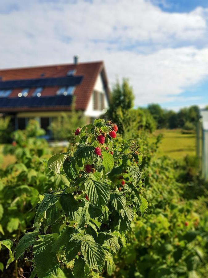 Siedlisko Gregorowo Apartamento Ustka Exterior foto
